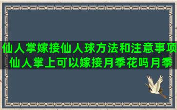 仙人掌嫁接仙人球方法和注意事项 仙人掌上可以嫁接月季花吗月季花的颜色会改变吗